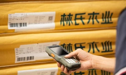 數字化時代排頭兵，林氏木業戰略再顯優勢 供應鏈管理服務